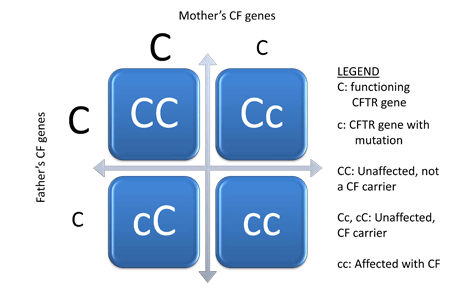 Cystic Fibrosis Genetic Carrier Testing