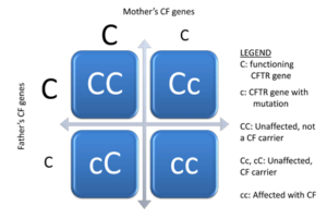 Cystic Fibrosis